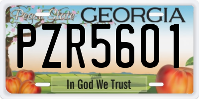 GA license plate PZR5601