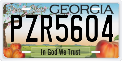 GA license plate PZR5604