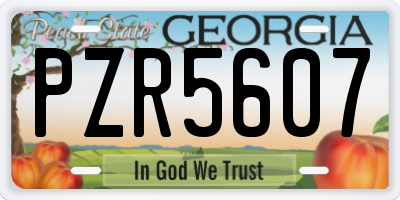 GA license plate PZR5607