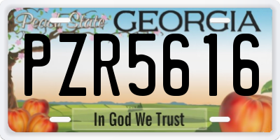 GA license plate PZR5616