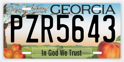GA license plate PZR5643