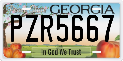 GA license plate PZR5667