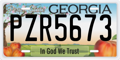 GA license plate PZR5673