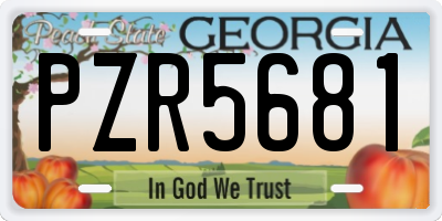 GA license plate PZR5681