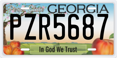GA license plate PZR5687