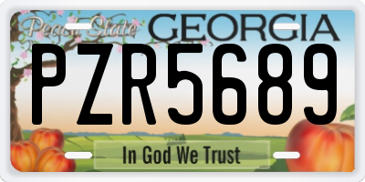 GA license plate PZR5689