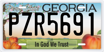 GA license plate PZR5691
