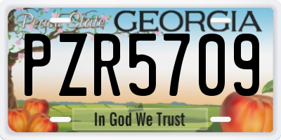 GA license plate PZR5709