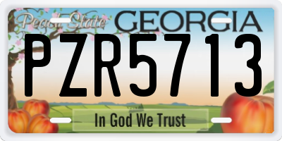 GA license plate PZR5713