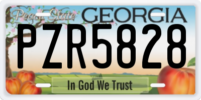 GA license plate PZR5828