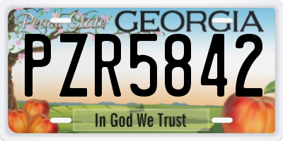 GA license plate PZR5842