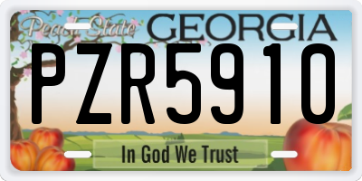 GA license plate PZR5910