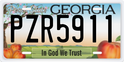 GA license plate PZR5911