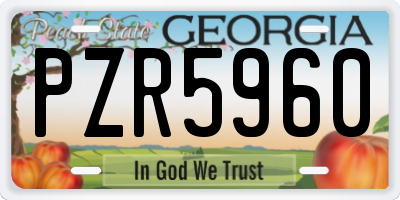 GA license plate PZR5960