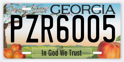 GA license plate PZR6005