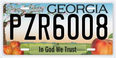 GA license plate PZR6008