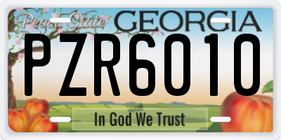 GA license plate PZR6010