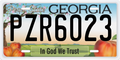 GA license plate PZR6023