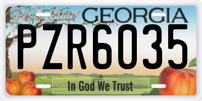 GA license plate PZR6035