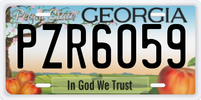 GA license plate PZR6059