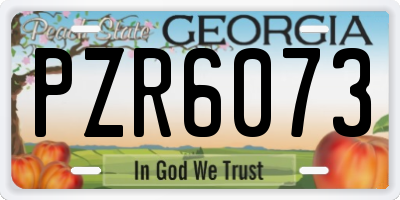 GA license plate PZR6073