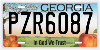 GA license plate PZR6087