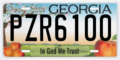 GA license plate PZR6100