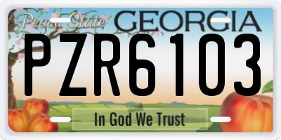 GA license plate PZR6103