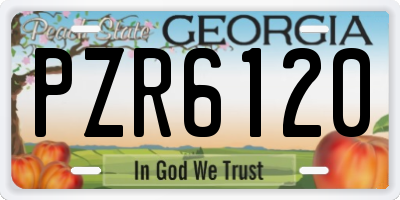 GA license plate PZR6120