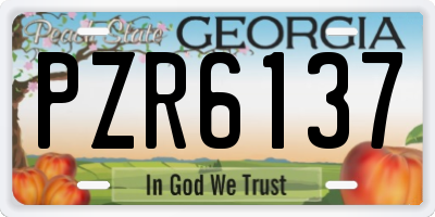 GA license plate PZR6137