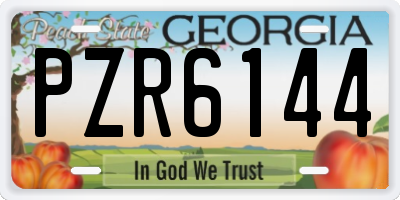 GA license plate PZR6144