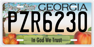 GA license plate PZR6230
