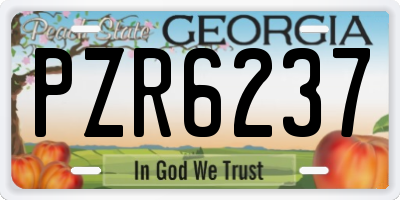GA license plate PZR6237