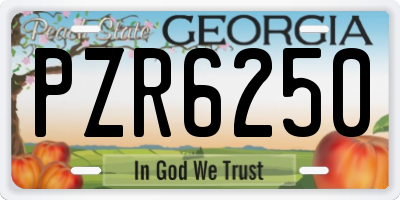 GA license plate PZR6250