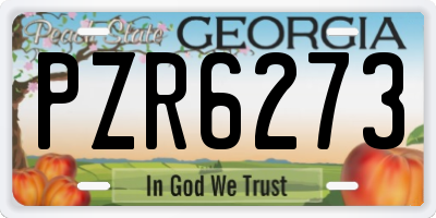 GA license plate PZR6273