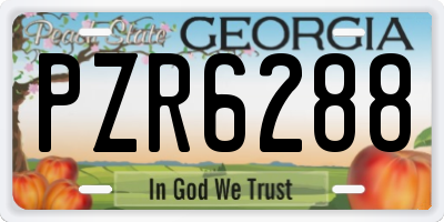 GA license plate PZR6288