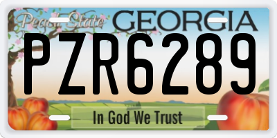 GA license plate PZR6289