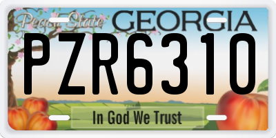 GA license plate PZR6310