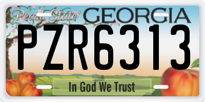 GA license plate PZR6313