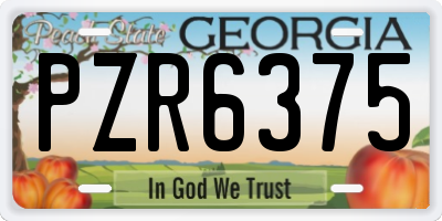 GA license plate PZR6375