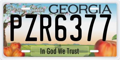 GA license plate PZR6377
