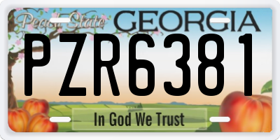 GA license plate PZR6381