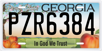 GA license plate PZR6384