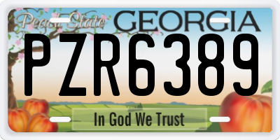 GA license plate PZR6389