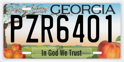 GA license plate PZR6401