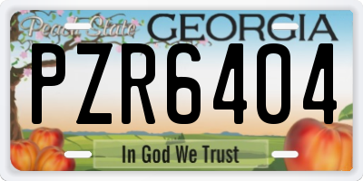 GA license plate PZR6404