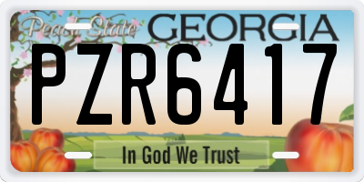 GA license plate PZR6417