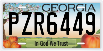 GA license plate PZR6449