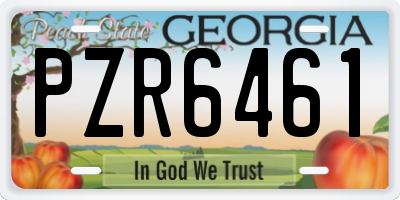 GA license plate PZR6461