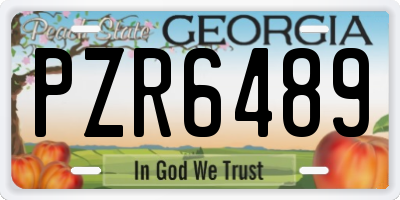 GA license plate PZR6489